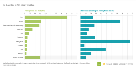 Top 10 countries by 2025 primary forest loss