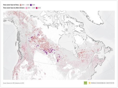 Tree cover loss to fires in Canada