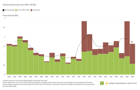 Tropical primary forest cover (2001): 340 Mha