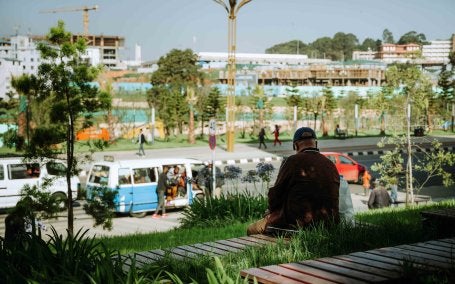 A man sits on a bench on a green, tree-lined street in Addis Ababa.