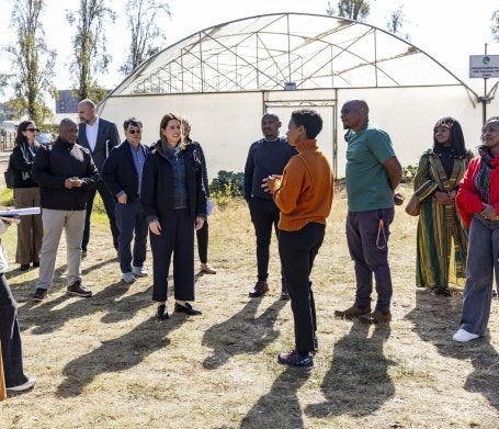 A group of people in a Soweto plant nursery