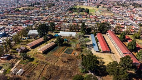 Arial shot of Soweto showing the green nursery within the neighbourhood with limited green infrustructure