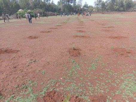 The ground is prepared for planting seedlings in Ethiopia