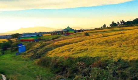 A grassy landscape with two buildings, each painted with an Ethiopian flag, in the background.
