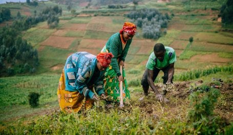 In Rwanda, women’s cooperatives organize farmers to both improve agriculture and the environment. 