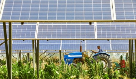 A man on a tractor drives past solar panels.