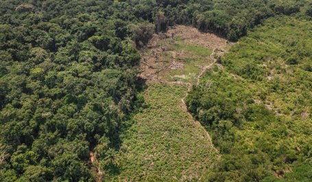 Deforestation near Lieki, Democratic Republic of Congo