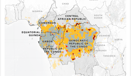 DRC Primary forest loss hot spots
