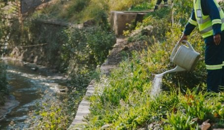 African Cities Use Nature to Fight Floods