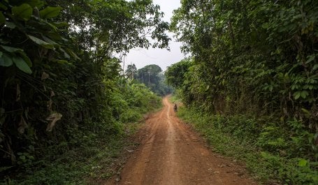 Near Lukolela, DRC. 
