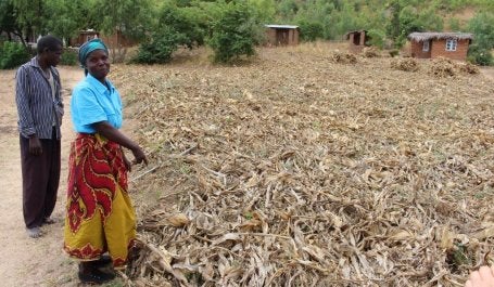 Woman in African field