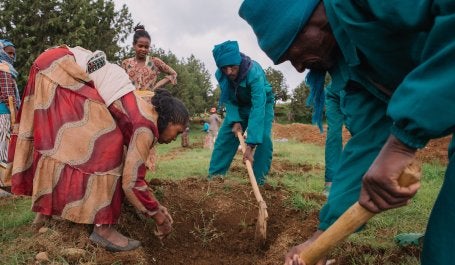 People working on planting trees.