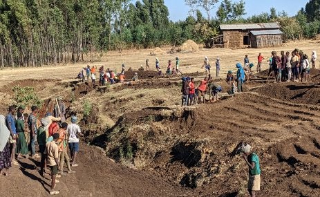 A group of people working the land.