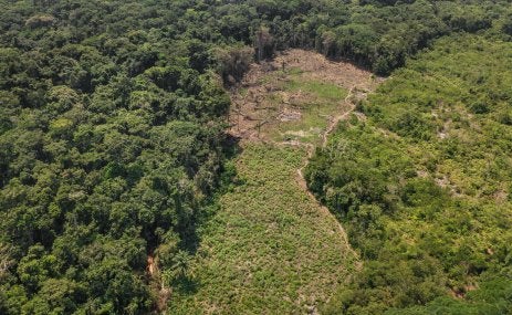 Deforestation near Lieki, Democratic Republic of Congo