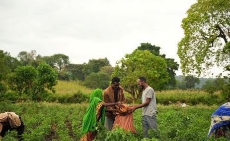 Farmers harvesting crops.
