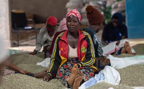 Women sorting coffee, Rwanda