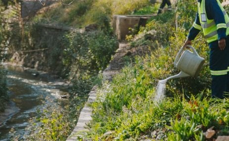 African Cities Use Nature to Fight Floods