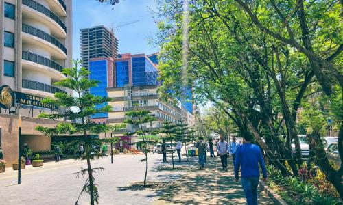 Newly planted trees line the Piassa-Mexico-Sarbet-Gotera-Wollo Sefer corridor in Addis Ababa, Ethiopia. Implemented during the first phase of the city’s corridor development project, the trees provide shade to pedestrians and cyclists. 