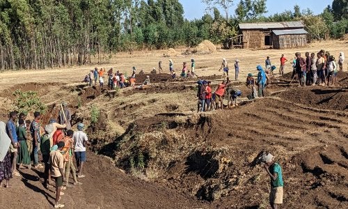 A group of people working the land.