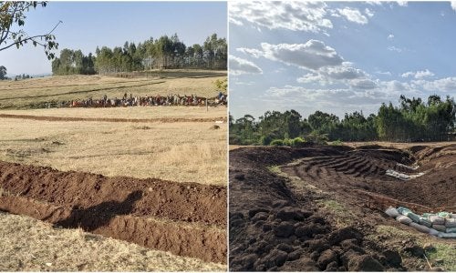 Side-by-side photos of landscape features designed to control erosion and water runoff.