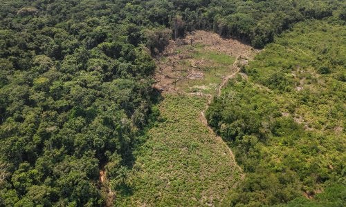 Deforestation near Lieki, Democratic Republic of Congo