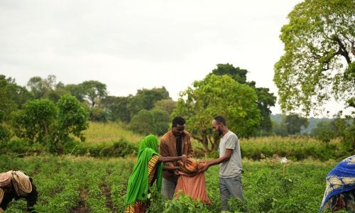 Farmers harvesting crops.