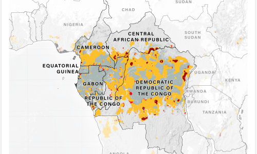 DRC Primary forest loss hot spots