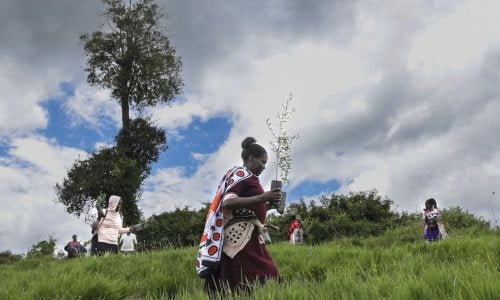 A woman carries a sapling up a hillside in Ololunga, Kenya.