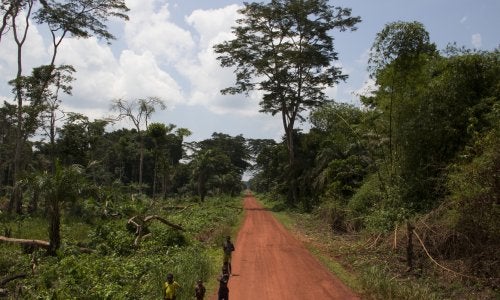 Road near the village of Ilanga in the DRC. Photo by Molly Bergen
