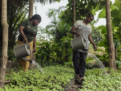 Women with watering cans.