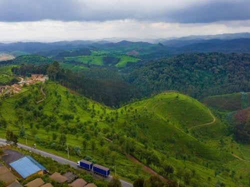 Land restoration sites in Rwanda