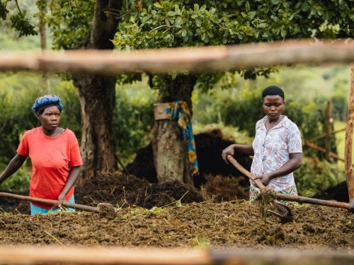 Two farmers working. 