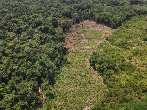 Déforestation près de Lieki, en République démocratique du Congo. 