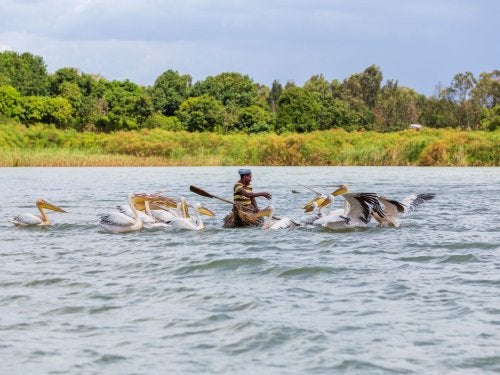 Man boating with birds.