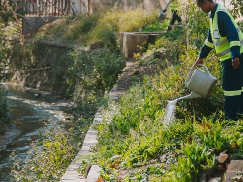African Cities Use Nature to Fight Floods