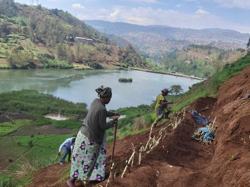 The bare hillsides of Bukavu being restored and stabilized