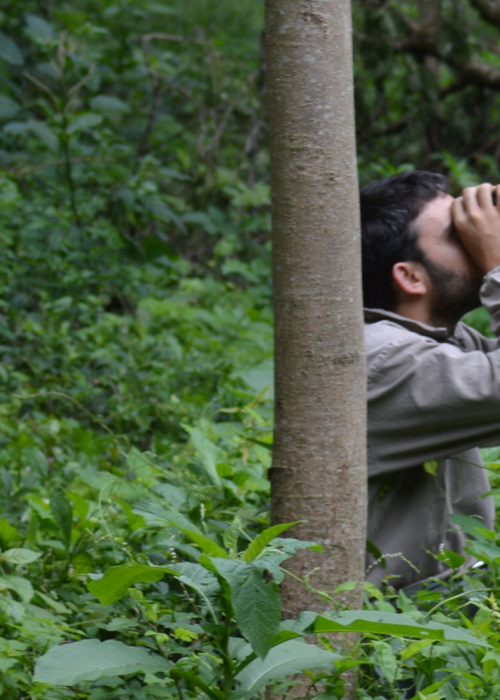 Man looking into binoculars in forest.