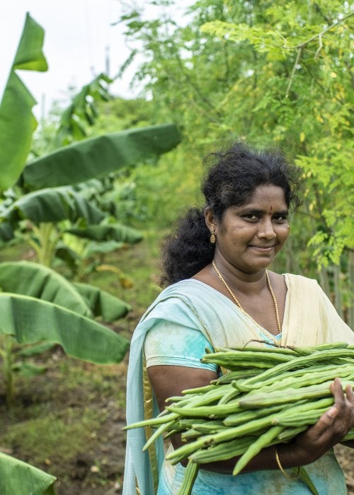 Woman holding crops in India
