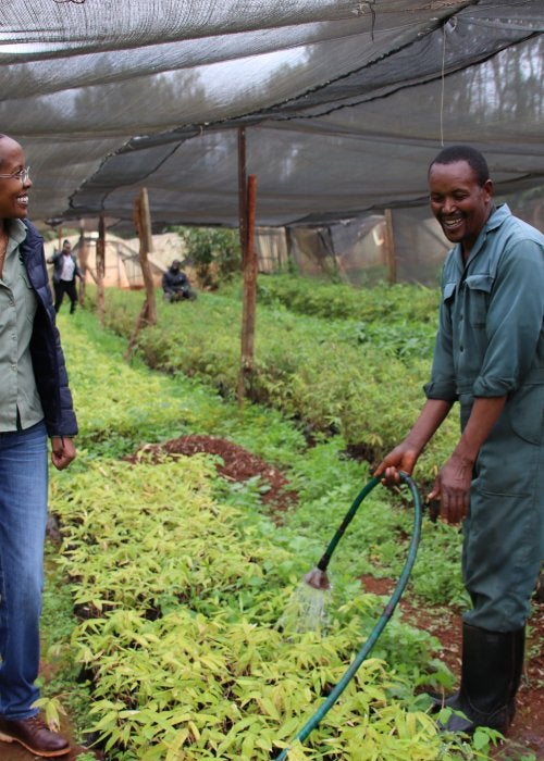 Man and woman standing in greenhouse in Africa